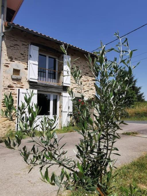 La Grange De Pierrot Villa Saint-Bazile Екстериор снимка